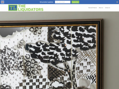 theliquidatorsonline.com snapshot