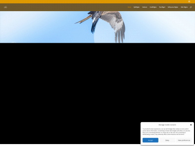 birdpicster.se snapshot