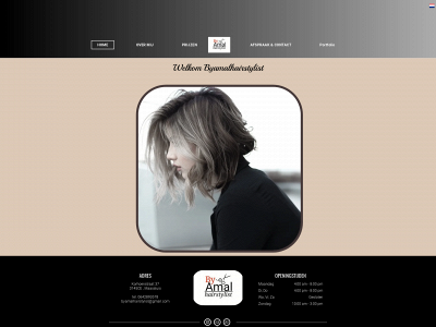 byamalhairstylist.nl snapshot