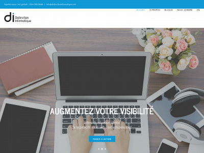 distinctioninformatique.com snapshot