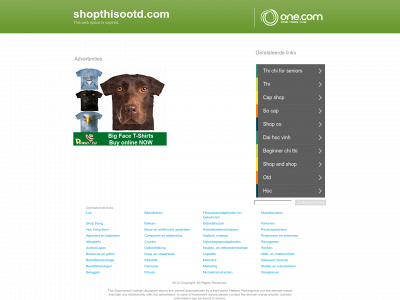 shopthisootd.com snapshot