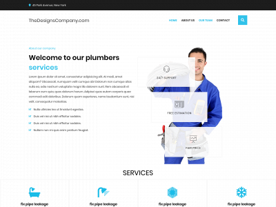 thedesignscompany.com snapshot