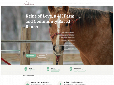 reinsoflove.com snapshot