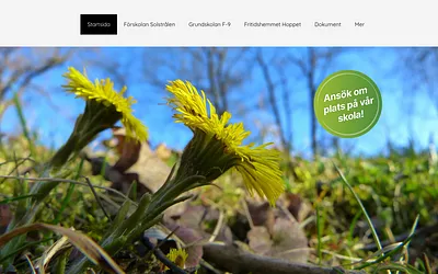 broskolan.se snapshot