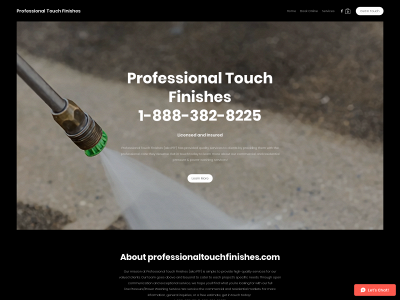 www.professionaltouchfinishes.com snapshot