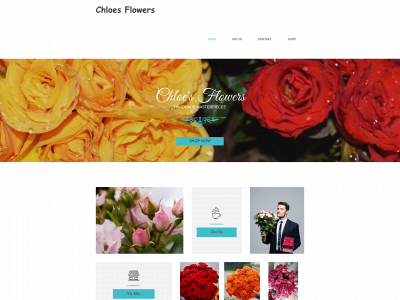 chloesflowers.dk snapshot
