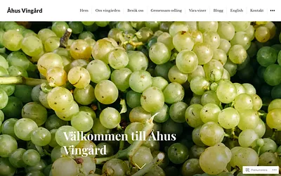 ahusvingard.se snapshot