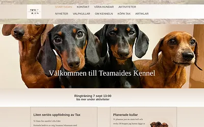teamaides.se snapshot