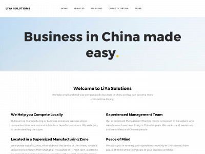 www.liya.solutions snapshot