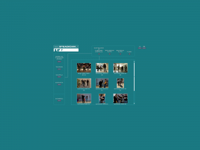 steadicam.lt snapshot