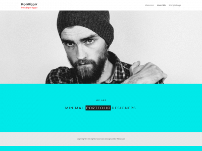 bigorbigger.com snapshot