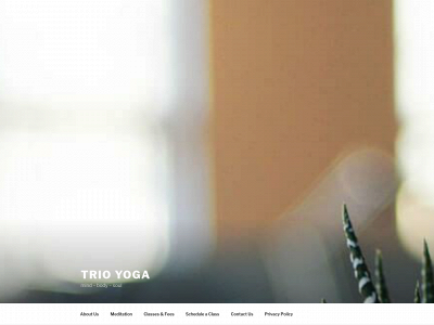 trioyogastudio.com snapshot