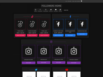 followershome.com snapshot