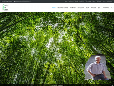 mlm-market-life-mentoring.de snapshot