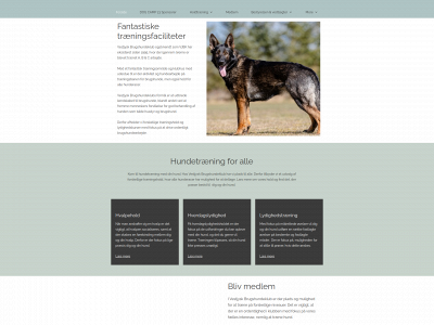 vjbk.dk snapshot