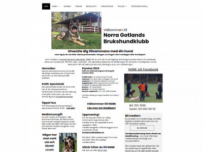 ngbk.org snapshot