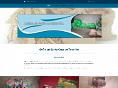 molinogofiolasalud.com snapshot
