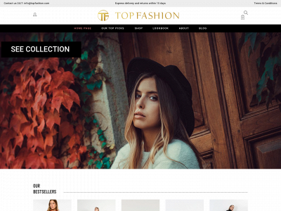 topfashion.com snapshot