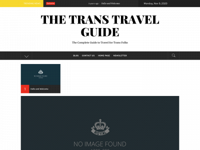 transtravelguide.com snapshot