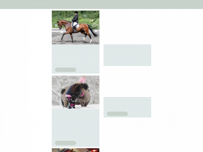 bbequestrian.no snapshot