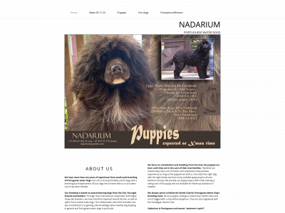 nadarium.com snapshot