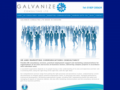 galvanizeconsultingservices.com snapshot