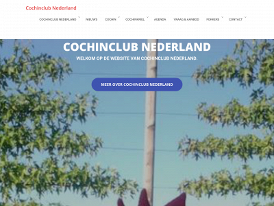 cochin.nl snapshot