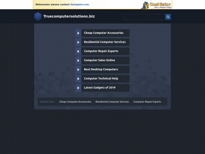 truecomputersolutions.biz snapshot