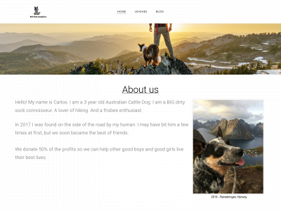 ruffdogsupply.com snapshot