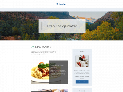 soleidet.com snapshot