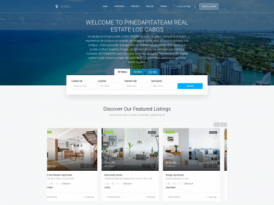 pinedapitateam.com snapshot