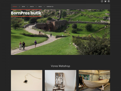 bornprobutik.dk snapshot