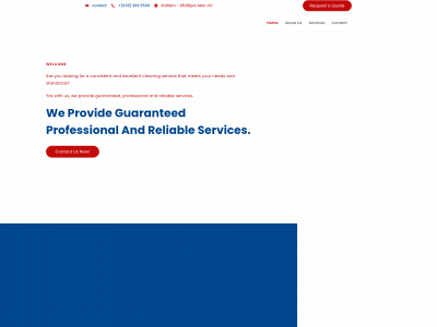 topshineservicescleaning.com snapshot