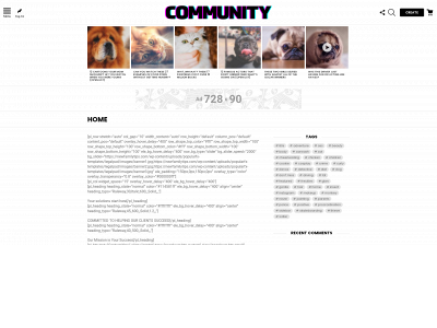 newfamilytips.com snapshot