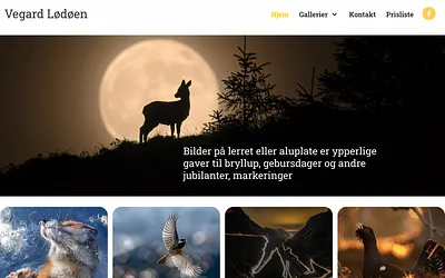 vlfoto.no snapshot