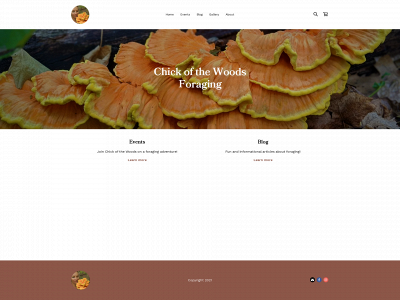 chickofthewoods.com snapshot