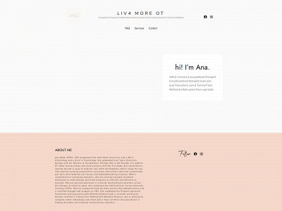 liv4more.com snapshot