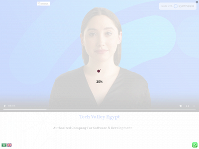techvalleyegypt.com snapshot