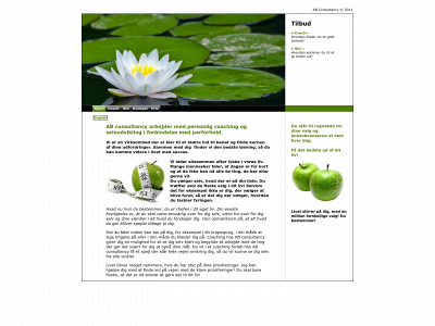 change4u.dk snapshot