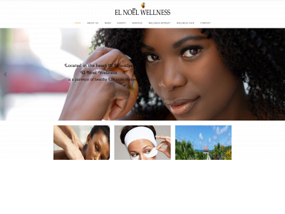 elnoelwellness.com snapshot