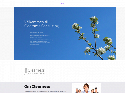 clearness.se snapshot