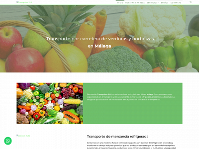 www.transguiser.com snapshot
