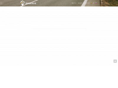 pagalbakelyje.lt snapshot