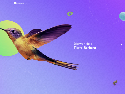tierrabarbara.com snapshot
