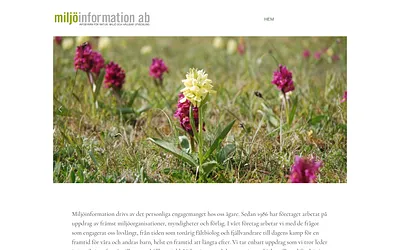 miljoinformation.se snapshot
