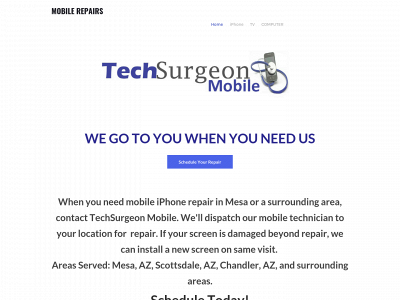 www.techsurgeonmobile.com snapshot