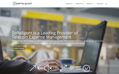 softeligent.com snapshot