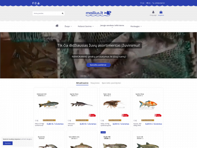 mailius.lt snapshot