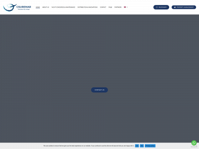 chasing-rov.com snapshot