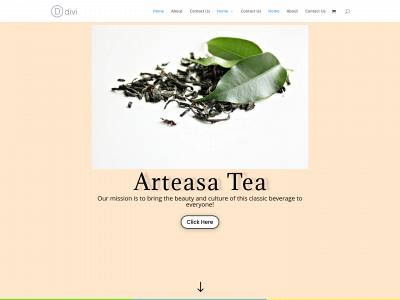 arteasa.com snapshot